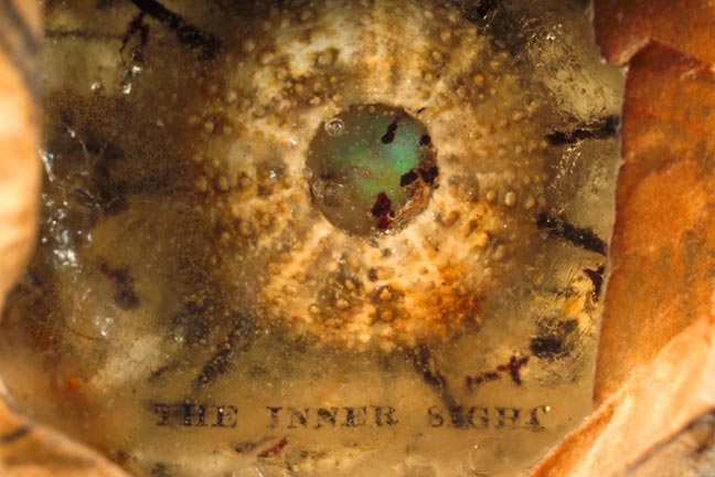 THE INNER SIGHT.