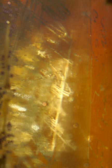 FOR THOSE WHO DOUBT.