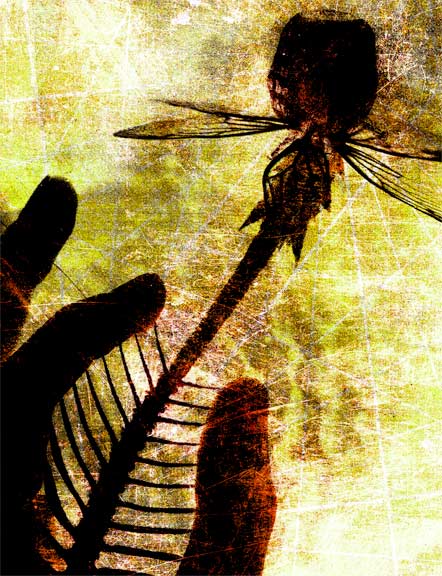 Handflower 2