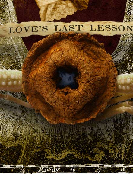 LOVE'S LAST LESSON.