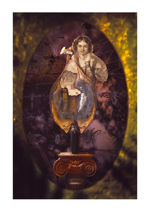 La nymphe.